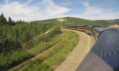 Zdjęcie USA / Anchorage - Alaska / Anchorage - Alaska / Przejazd z Anchorage do Fairbanks