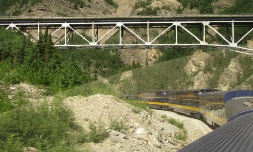Zdjęcie USA / Fairbanks - Alaska / Fairbanks - Alaska / Trasa Anchorage - Fairbanks    Alaska