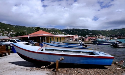 USA / Wyspy Dziewicze Stanw Zjednoczonych / Charlotte Amalie / Frenchtown Marina