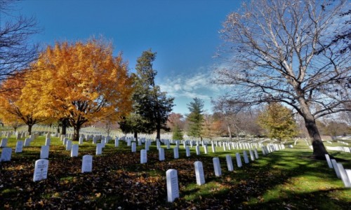 Zdjecie USA / Washington DC / Cmentarz Arlington / Barwy jesieni