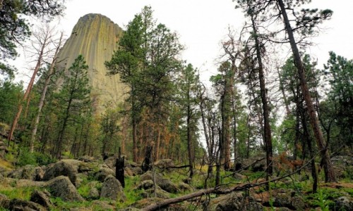 Zdjcie USA / Wyoming / Devils Tower National Monument / Jeden ze szlakw wok Devils Tower