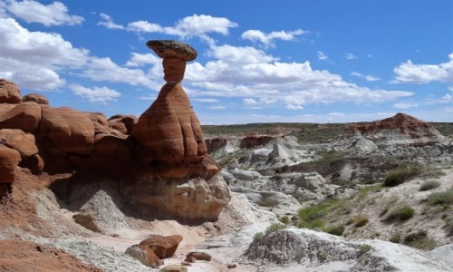 Zdjcie USA / Utah / Paria Rimrocks Toadstool Trail / Hoodoos