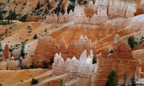 Zdjecie USA / Utah / Bryce Canyon / Bajkowe zamki