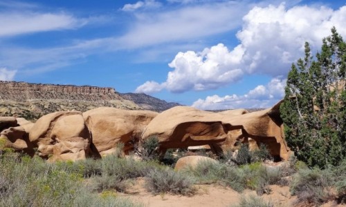 Zdjcie USA / Utah / Escalante - Devils Garden / Diabelski, ale cudny ogrd