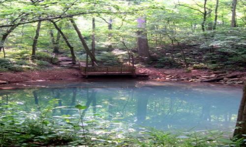 Zdjęcie USA / brak / Kentucky / blekitne jeziorko obok Last River