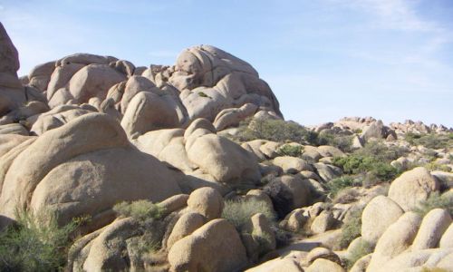 Zdjęcie USA /  Zachodnie wybrzeże USA / PARK NARODOWY JOSHUA TREE / Parki Narodowe USA