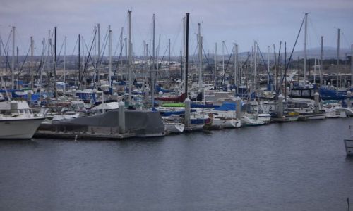 Zdjęcie USA /  Zachodnie wybrzeże USA / MONTEREY / MONTEREY -  Zachodnie wybrzeże USA