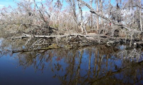 Zdjecie USA / brak / Luizjana / delta Mississippi