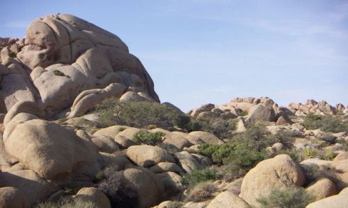 Zdjęcie USA /  Zachodnie wybrzeże USA / PARK NARODOWY JOSHUA TREE / Parki Narodowe USA