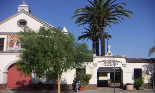 Zdjcie USA / zachodnie wybrzee / LOS ANGELES / Przyroda Zachodniego Wybrzea