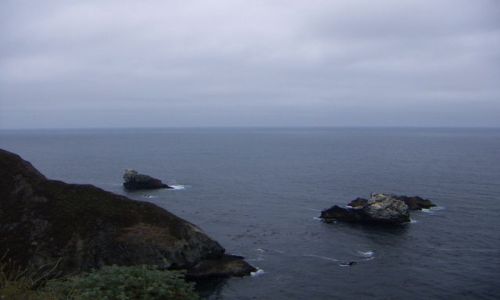 Zdjecie USA / zachodnie wybrzeże / San Francisco / Przyroda Zachodniego Wybrzeża