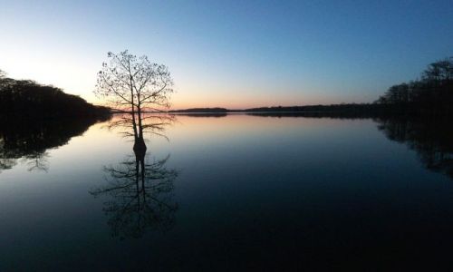 Zdjęcie USA / brak / Luizjana / Mississippi o zmierzchu