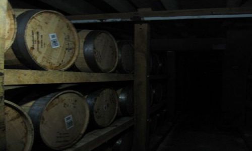 Zdjecie USA / Tennessee  / Lynchburg / Dla nastepnych pokolen..........