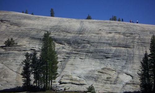 Zdjcie USA / brak / PARK NARODOWY YOSEMITE / Przyroda Zachodniego Wybrzea