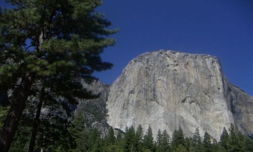 Zdjęcie USA / brak /  El Capitan - PARK NARODOWY YOSEMITE / Przyroda Zachodniego Wybrzeża