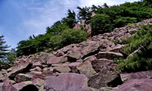 Zdjecie USA / brak / Wisconsin / Baraboo / rumowisko w Devils Lake SP