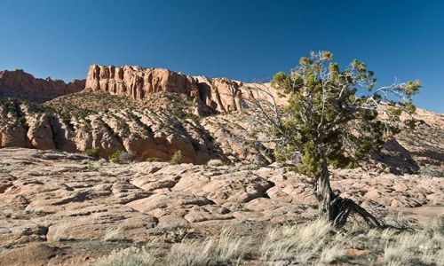 Zdjecie USA / Arizona / Arizona / gdzie w arizonie 10