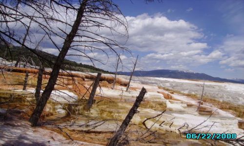 Zdjęcie USA / Wyoming / Mamoth Hot Springs / Park Yellowstone