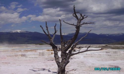 Zdjęcie USA / Wyoming / Mamoth Hot Sprngs / Park Yellowstone