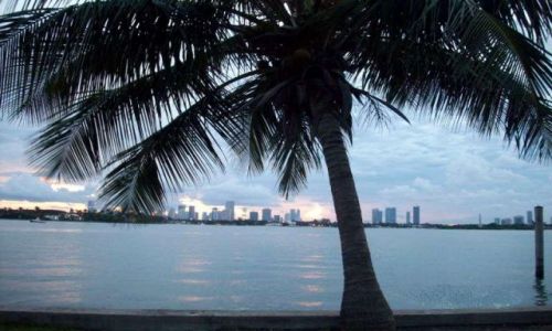 Zdjęcie USA / Floryda / South Beach z widokiem na  Miami / Miami - South Beach