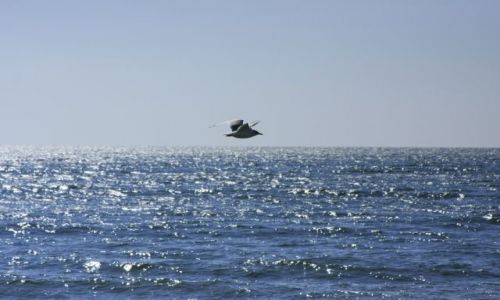 Zdjęcie USA / brak /  ocean  .  plaza  w  NY / w  locie