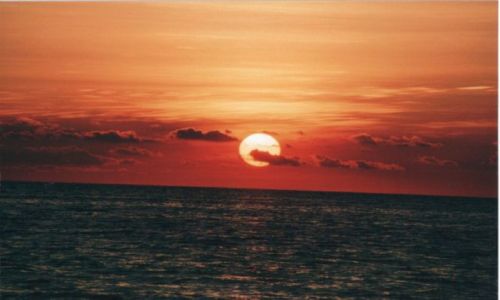 Zdjęcie USA / floryda / sarasota zatoka meksykanska / zachod slonca- zatoka meksykanska