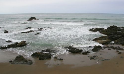 Zdjęcie USA / Kalifornia / Okolice San Francisco / Wybrzeże Pacyfiku