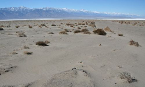Zdjęcie USA / Kalifornia / Death Valley National Park / *