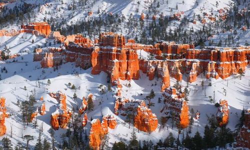 Zdjecie USA / Utah / Bryce Canyon / Bryce Kanion 3
