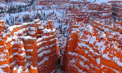 Zdjecie USA / Utah / Bryce Canyon / Bryce Kanion 7