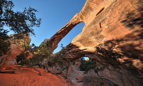 Zdjecie USA / Utah / Arches / Double oo Arch