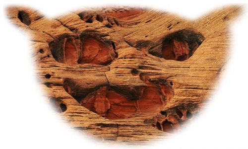 Zdjecie USA / Utah / Formacje skalne w kanionie Burr Trail / Skalny umiech Admina