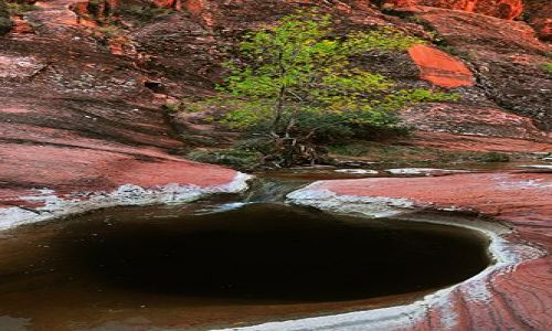 Zdjecie USA / Utah / Red Cliffs / czarna woda