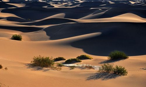 Zdjecie USA / Kalifornia / Death Valley / Dolina Śmierci