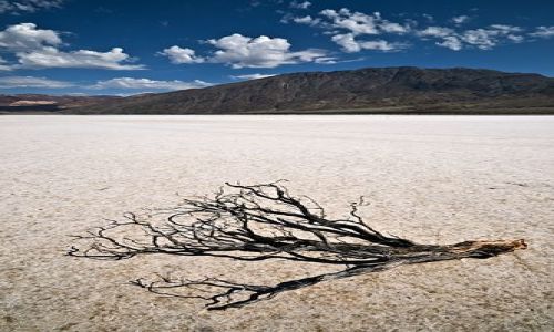 Zdjecie USA / Kalifornia / Death Valley / Dolina Śmierci
