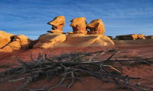 Zdjecie USA / Utah / Grand Staircase Escalante / Devils Garden