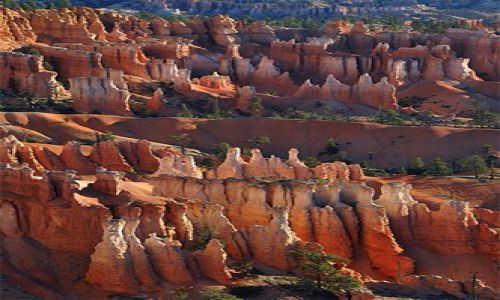Zdjecie USA / Utah / Bryce Canyon / Bryce Canyon