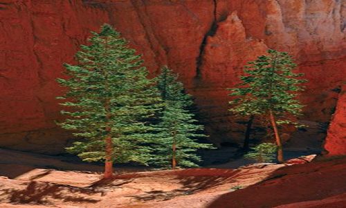Zdjecie USA / Utah / Bryce Canyon / Bryce Canyon