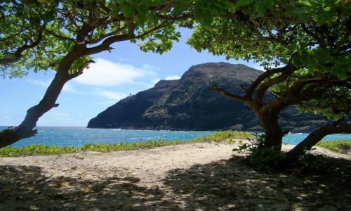 Zdjecie USA / Hawaii / Honolulu / Honolulu - Hawaii