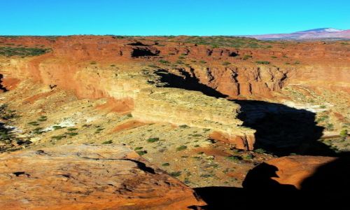 USA / Utah / Capitol Reef National Park / Goosnecks / ranek w Capitol Reef