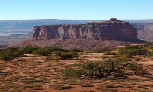 Zdjecie USA / Utah / Canyonlands / Island in the sky /  / westernowy krajobraz...