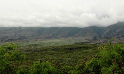Zdjęcie USA / Hawaje/Maui / południowo - wschodnie wybrzeże / oblicza Maui