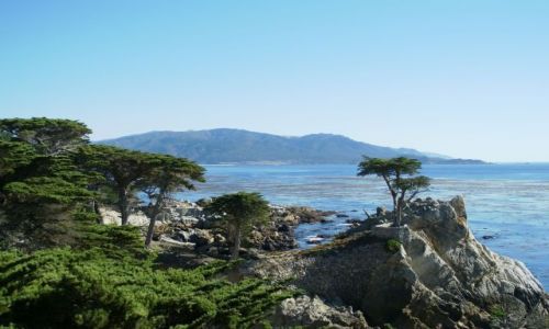 Zdjecie USA / California / Carmel / 17 Miles Drive