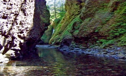 Zdjecie USA / brak / Oregon / Oneonta Gorge