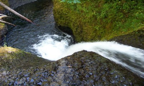 Zdjęcie USA / brak / Oregon / Columbia River Gorge / wodospadzik