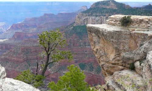 Zdjecie USA / Arizona / GRAND kANION / Przyroda Kanionu