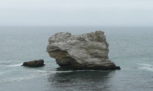 Zdjęcie USA / Kalifornia / Point Reyes / ostoja kormoranów