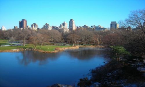 Zdjecie USA / NY / Nowy Jork / Central Park Jesieni