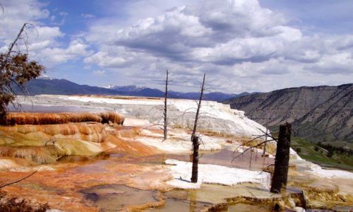 Zdjecie USA / Wyoming / Park Yellowstone / Mamoth Hot Springs