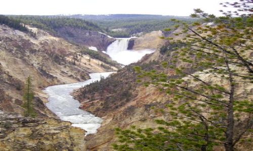 Zdjcie USA / Wyoming / Park Yellowstone / niezwyky kanion rzeki Yellowstone